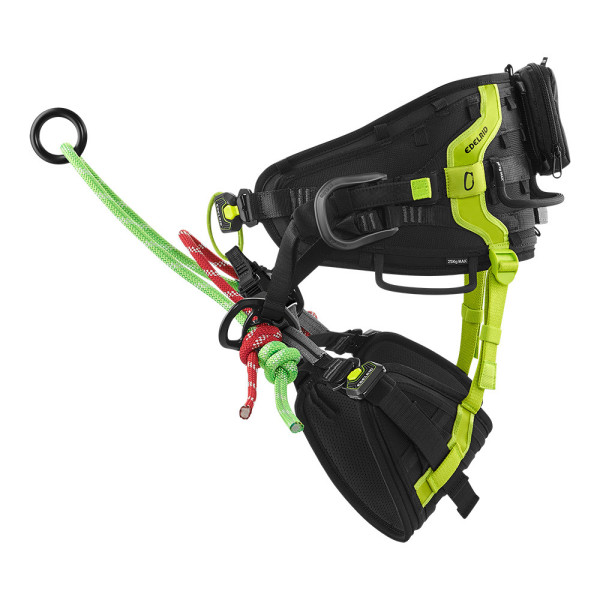 TREEREX Arnés profesional Edelrid para trepa y poda de árboles. 2
