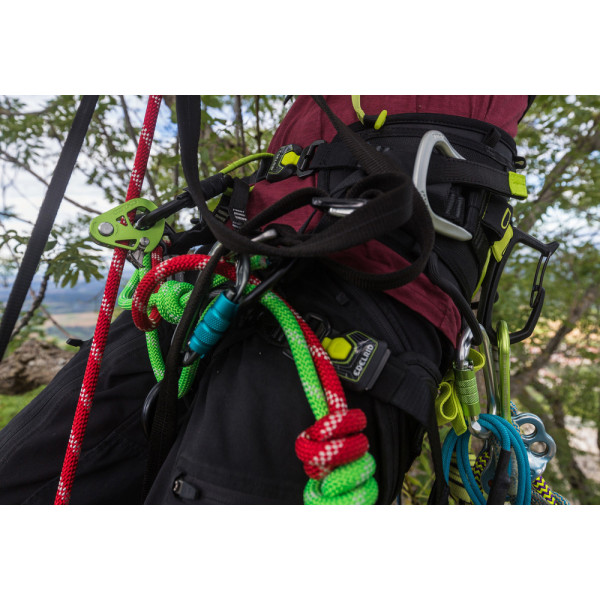 TREEREX Arnés profesional Edelrid para trepa y poda de árboles.