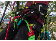 TREEREX Arnés profesional Edelrid para trepa y poda de árboles.