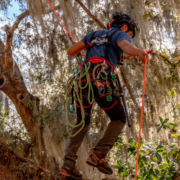 TREEMOTION PRO arnés personalizable de arboricultura Teufelberger
