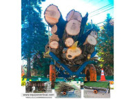Carro multiuso Arbor Trolley para transportar residuos forestales