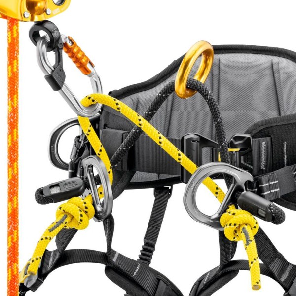 SEQUOIA arnés de cintura Petzl para poda y trepa de árboles